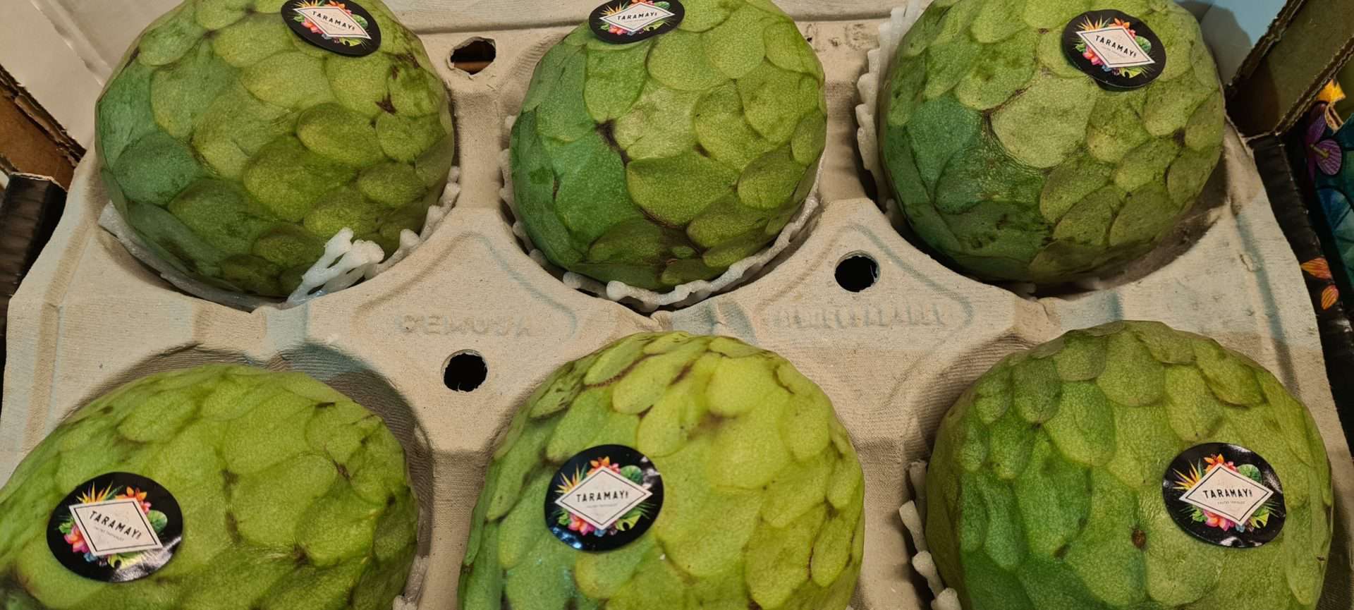 Custard apple что это за фрукт