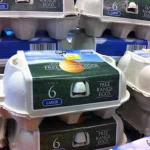 Free Range Large Eggs