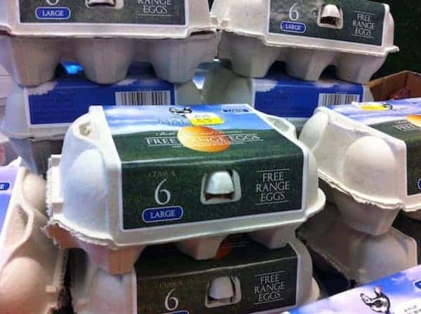 Free Range Large Eggs
