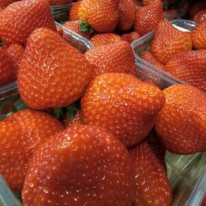 Strawberries Belgian