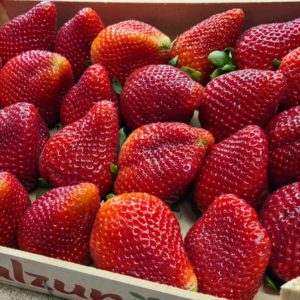 Strawberries (1KG)