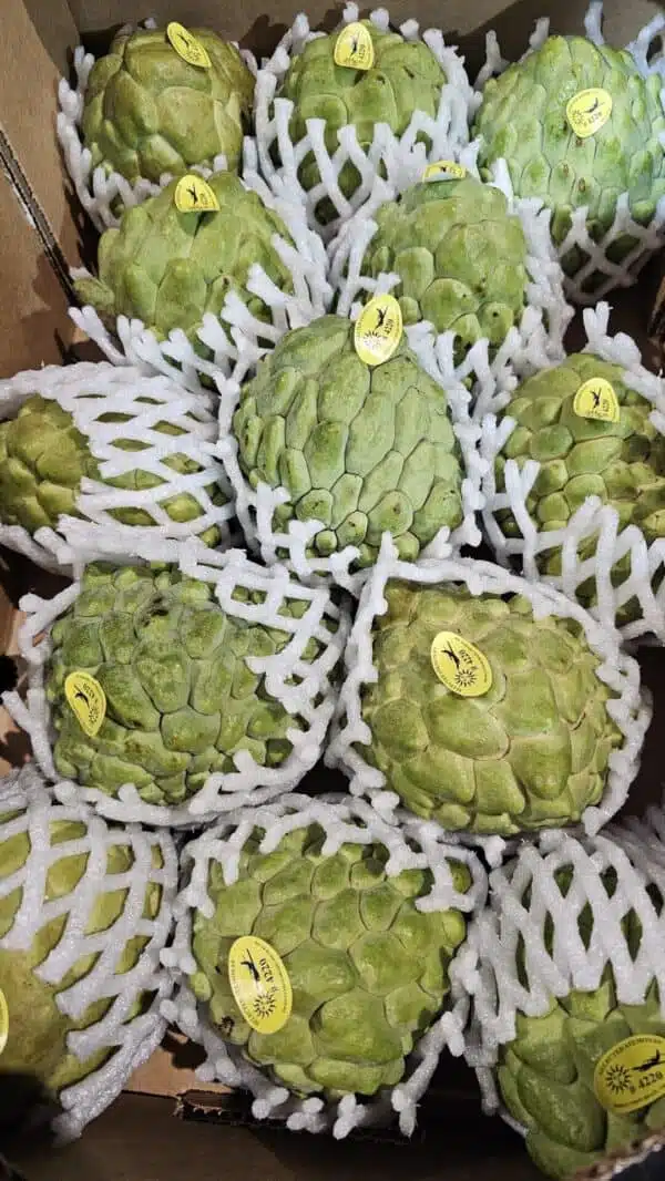 Custard Apples(By Air)