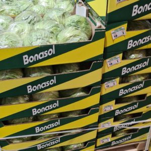 Lettuce (Iceberg)