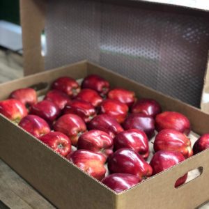 Apples (American Red)