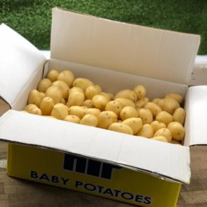 Potatoes (Baby New)