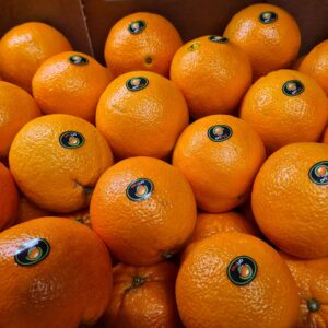 Oranges (Large Navels)