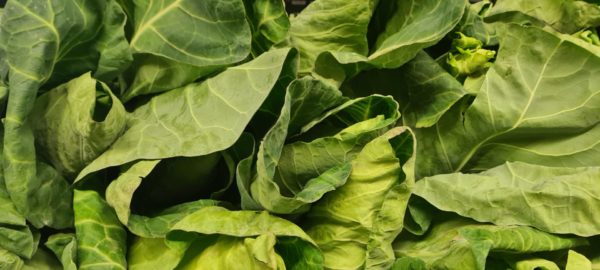 Cabbage (Hispi)