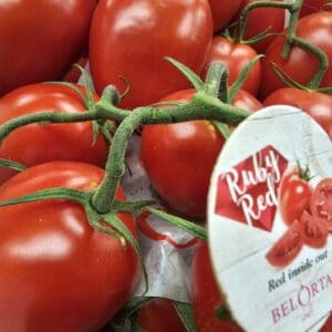 Tomatoes Plum (BelOrta Ruby Red)