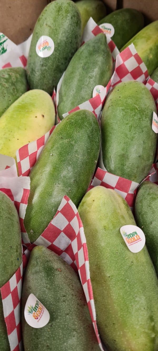 Curuba Fruit