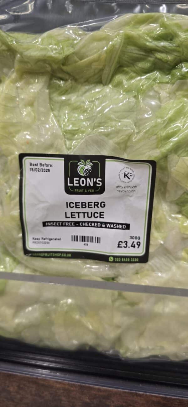 Insect-Free-Checked & Washed Iceberg Lettuce