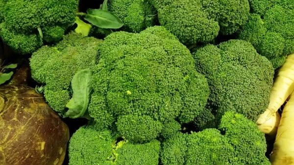 Broccoli