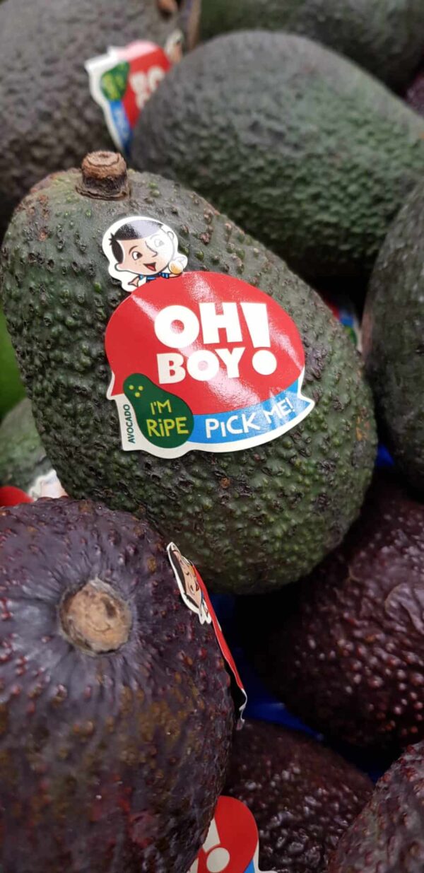 Avocadoes (Hass)