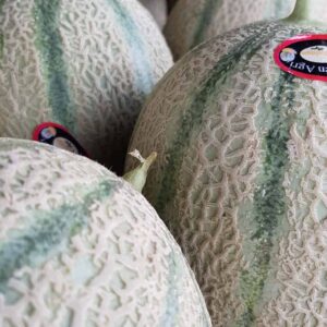 Melon Cantaloupe