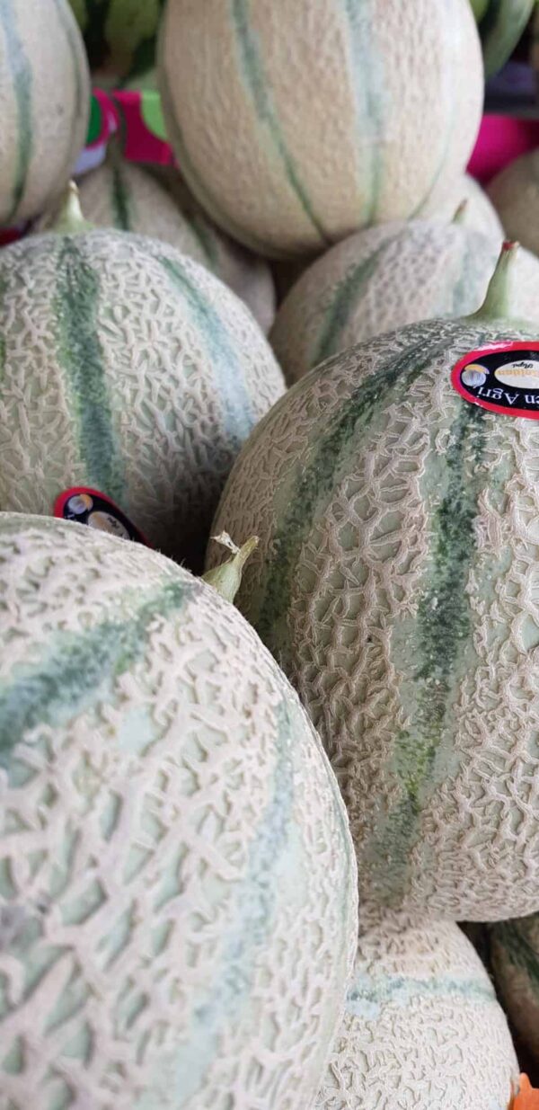Melon Cantaloupe