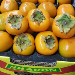 Sharon Fruits (South Africa)