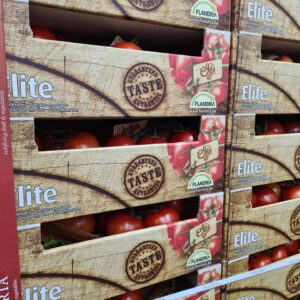 Vine Tomatoes