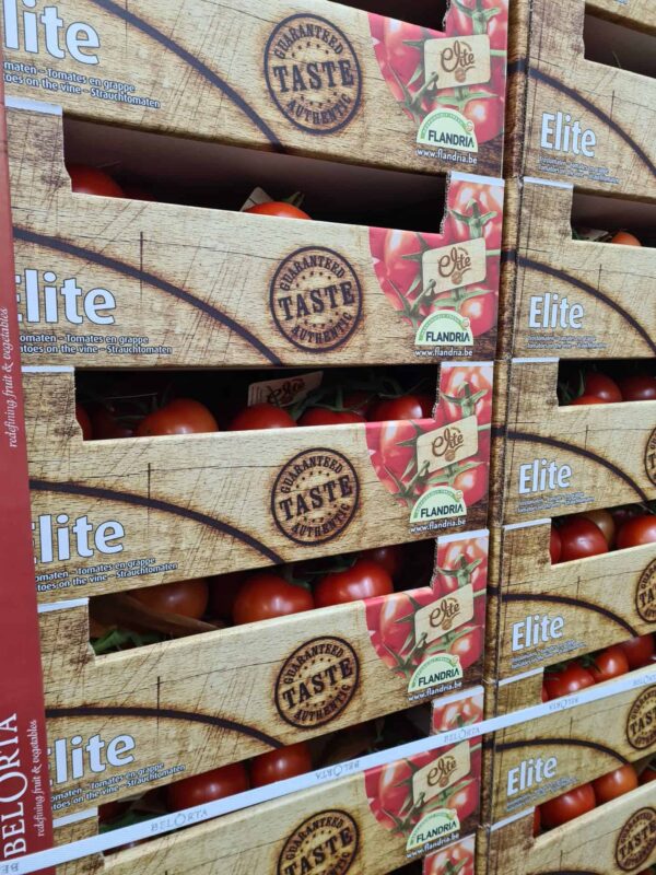 Vine Tomatoes