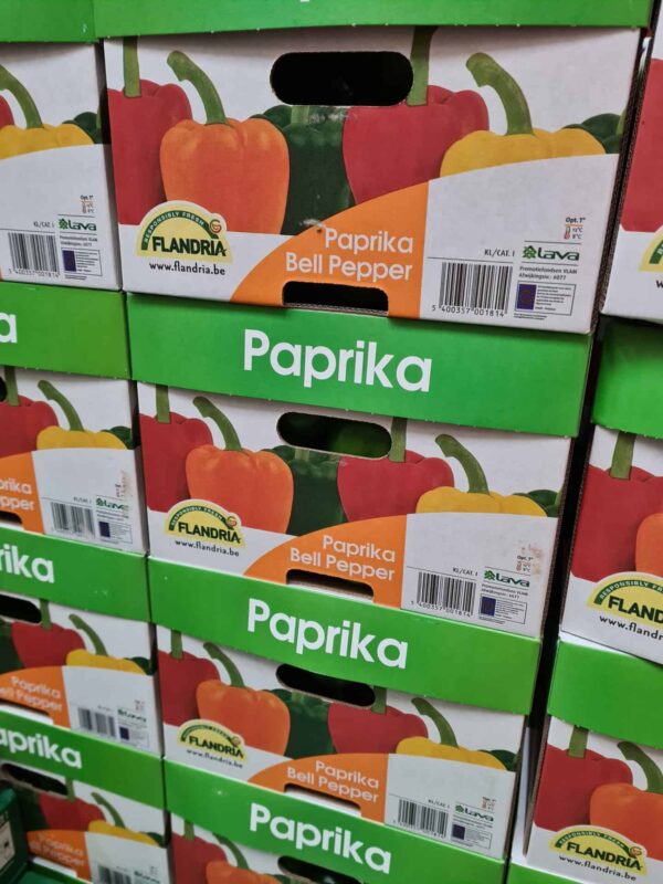 Peppers Orange