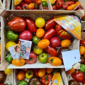 Heritage Tomatoes