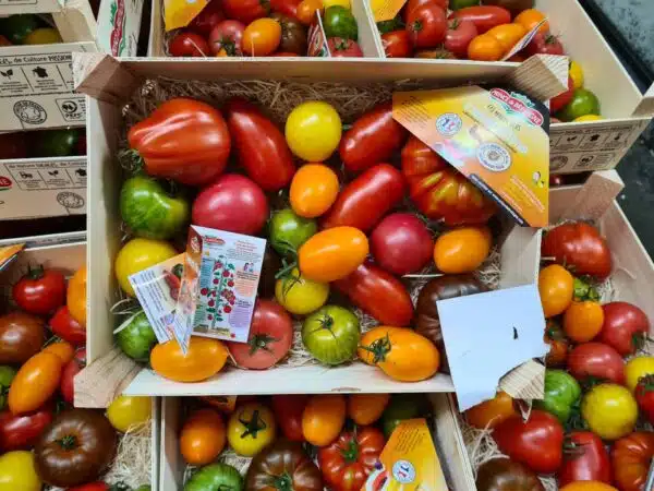 Heritage Tomatoes