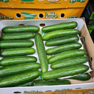 Baby Cucumbers