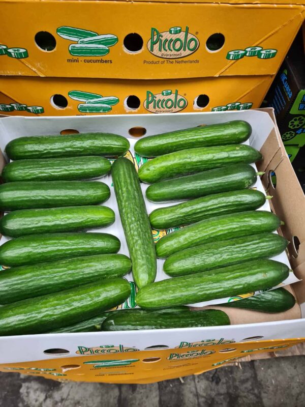 Baby Cucumbers