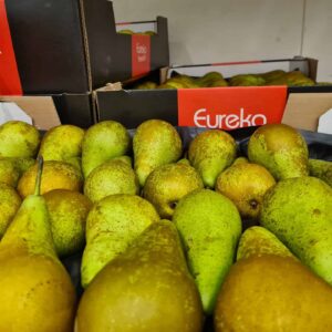 Conference Pears