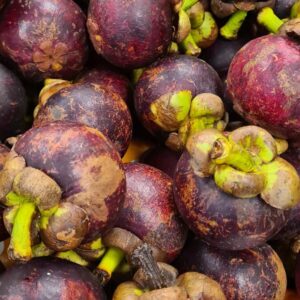 Mangosteen