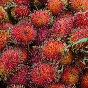 Rambutan