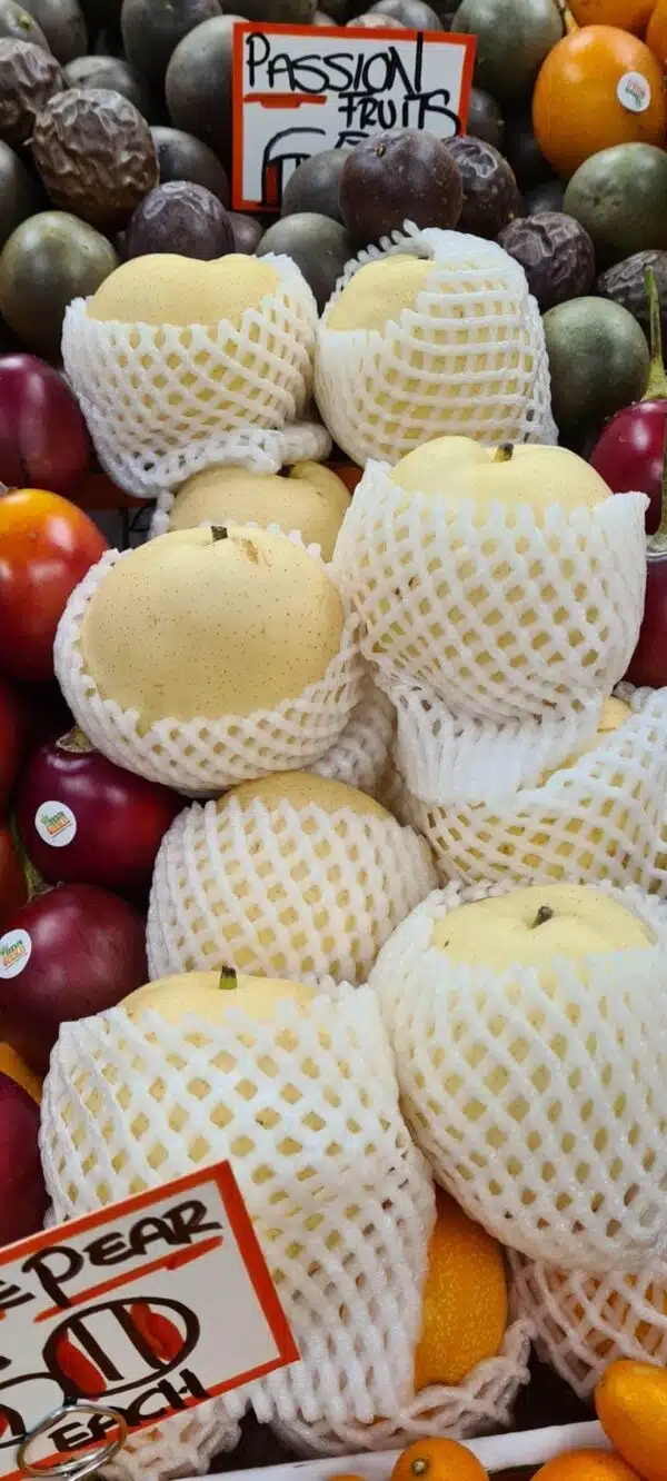 Chinese (Nashi) Pear