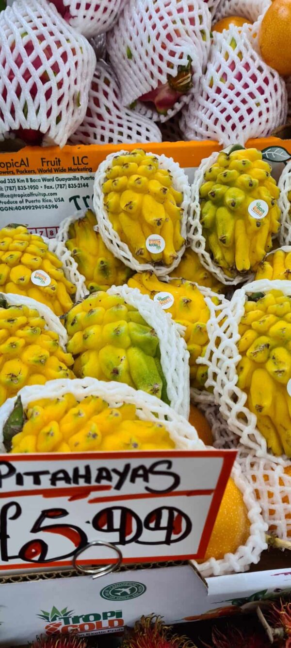 Pitahaya