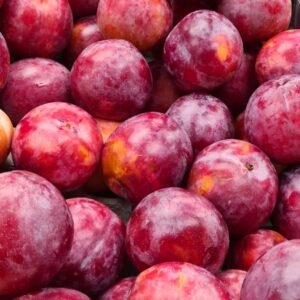 Plums (red)
