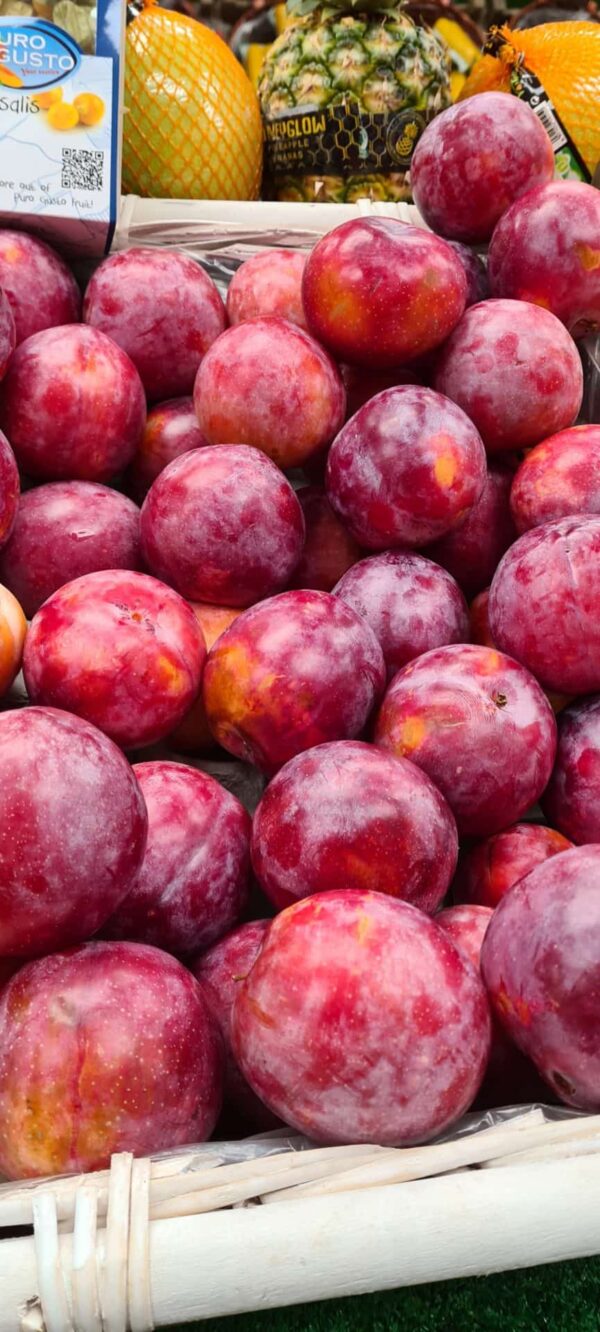 Plums (red)