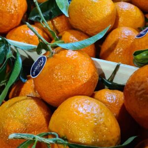 Leafy Clementines (Seedless)