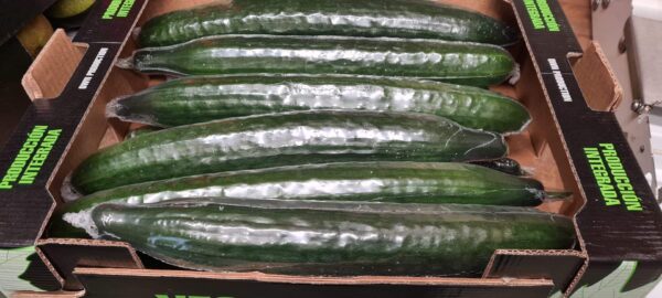 Cucumbers - Image 2