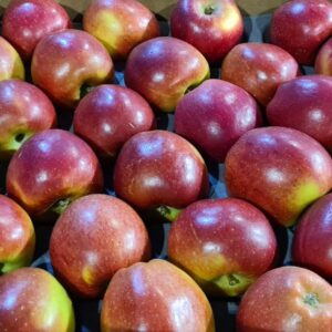 Apples (Braeburn)