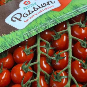 Tomatoes Cherry