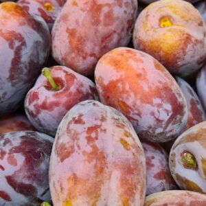Plums (President)