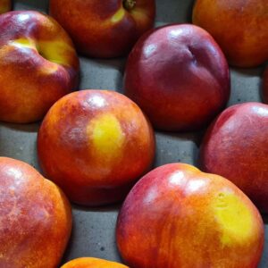 Nectarines