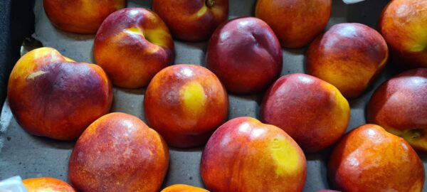 Nectarines