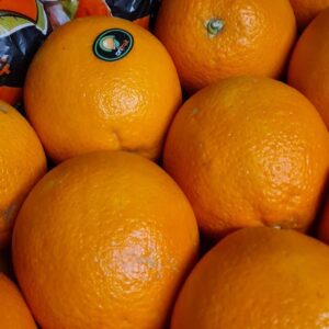 Oranges Navel (Regular)