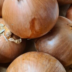 Onions (Spanish)