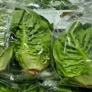 Lettuce (Little Gems) Twin Pack Large