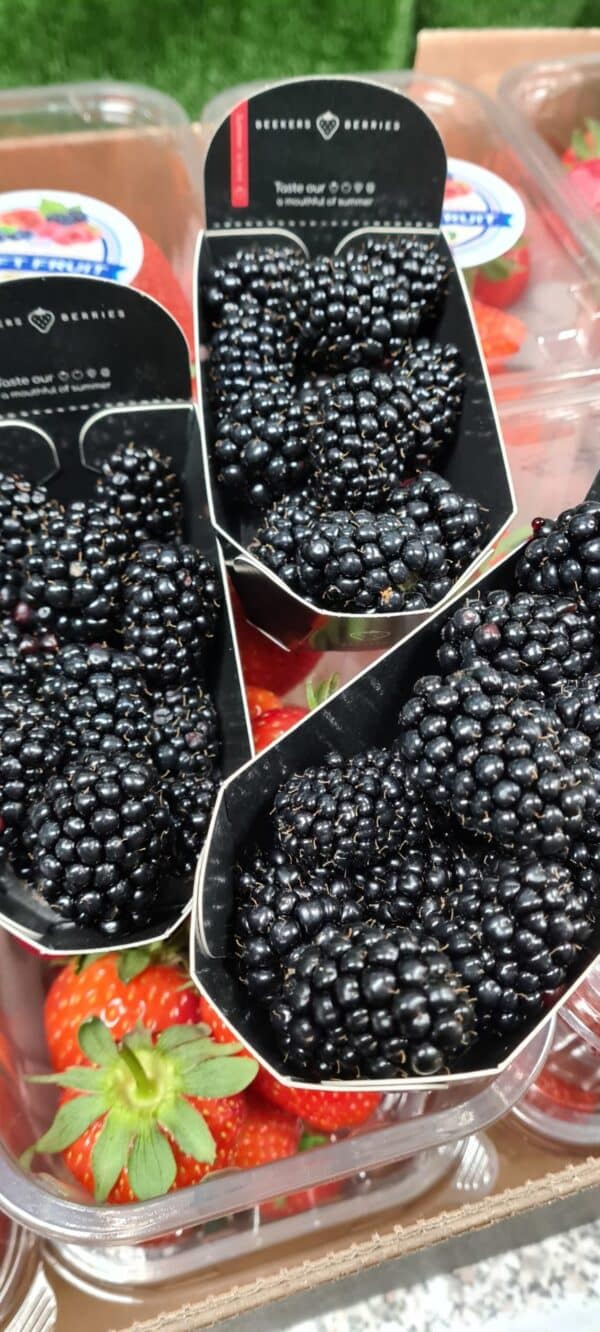 Blackberries