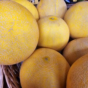 Melon Galia