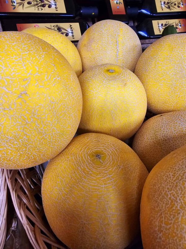 Melon Galia