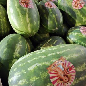 Melon Watermelon
