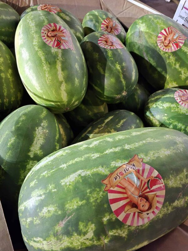 Melon Watermelon