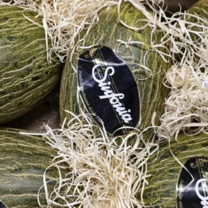 Melon Del Sapo