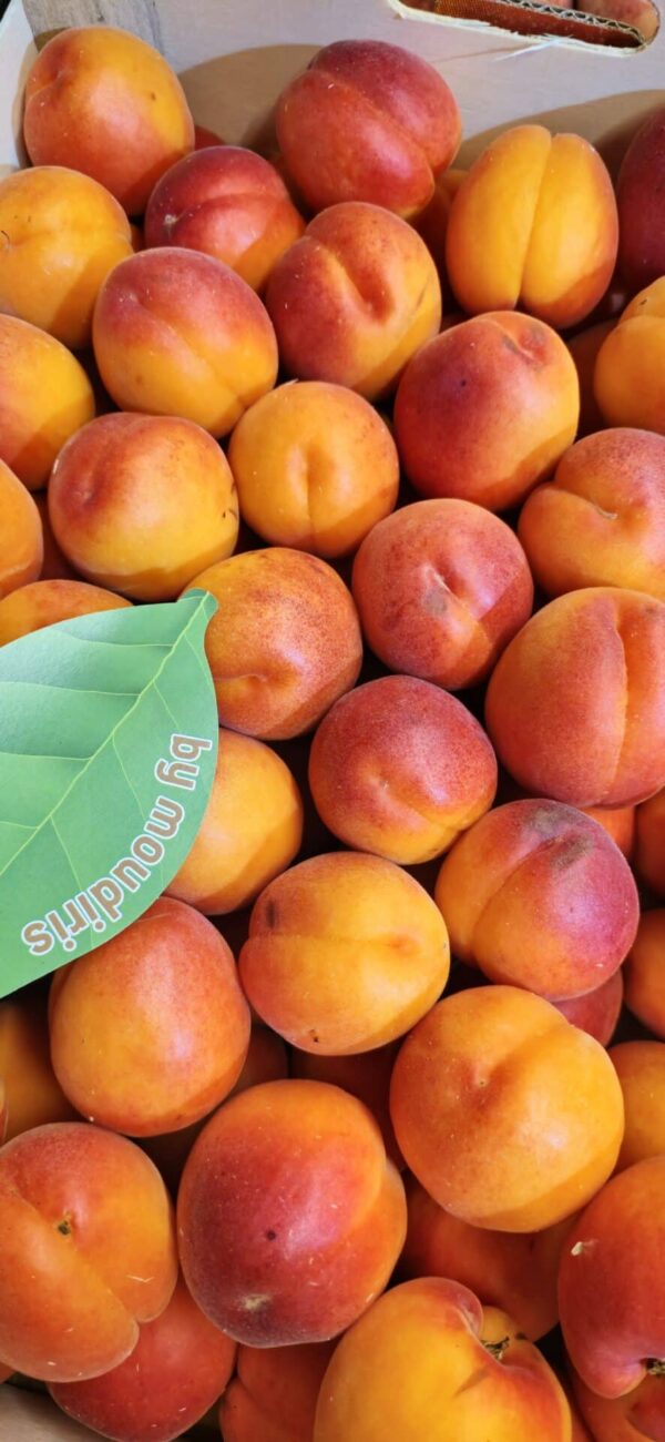 Apricots